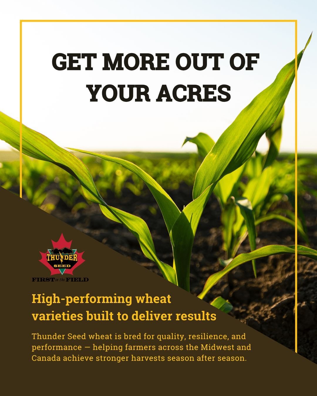 551c0ae7de2d3cb3dcc72db8c14d84f12f19a17b-min